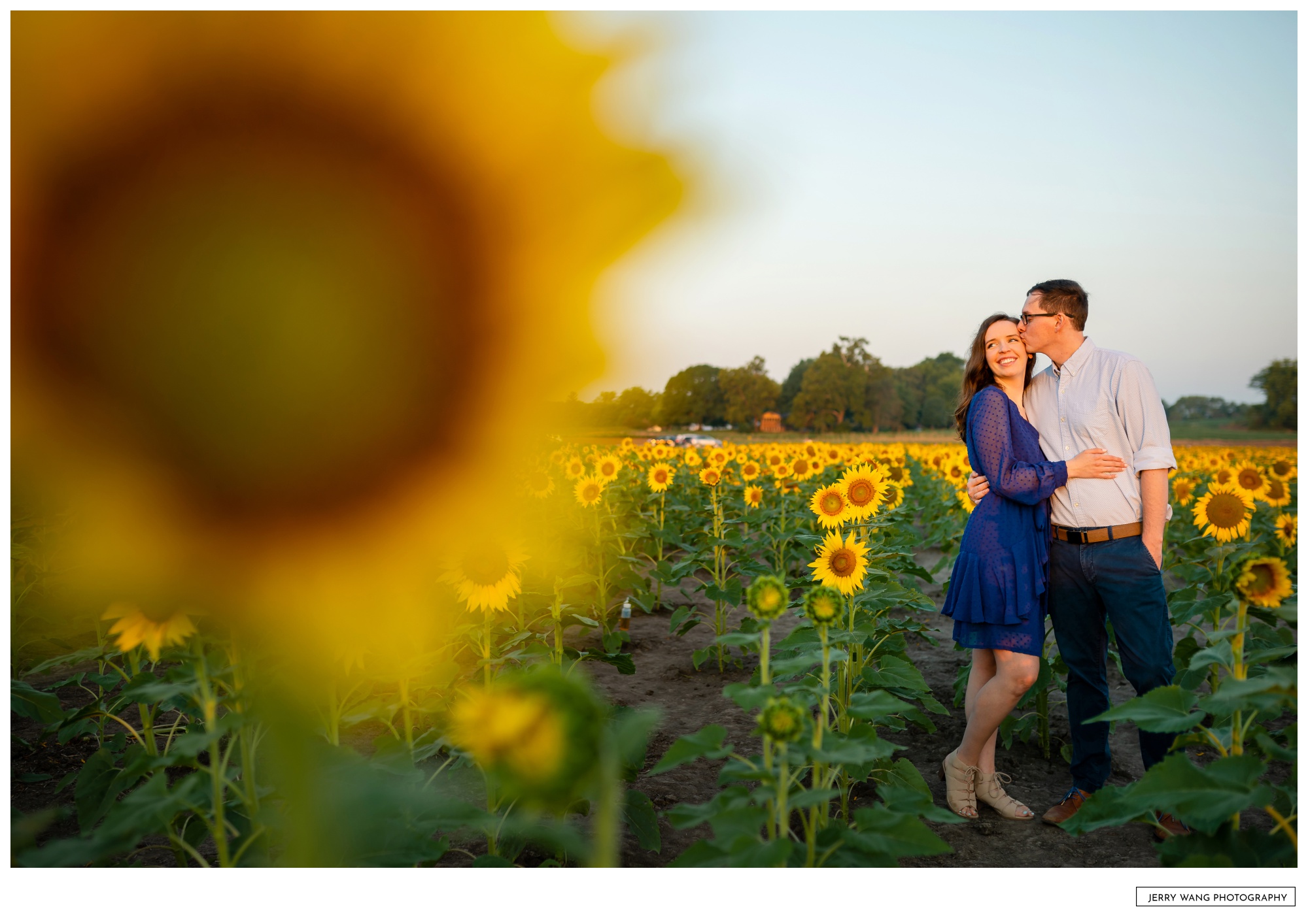 Sunflower engagement discount